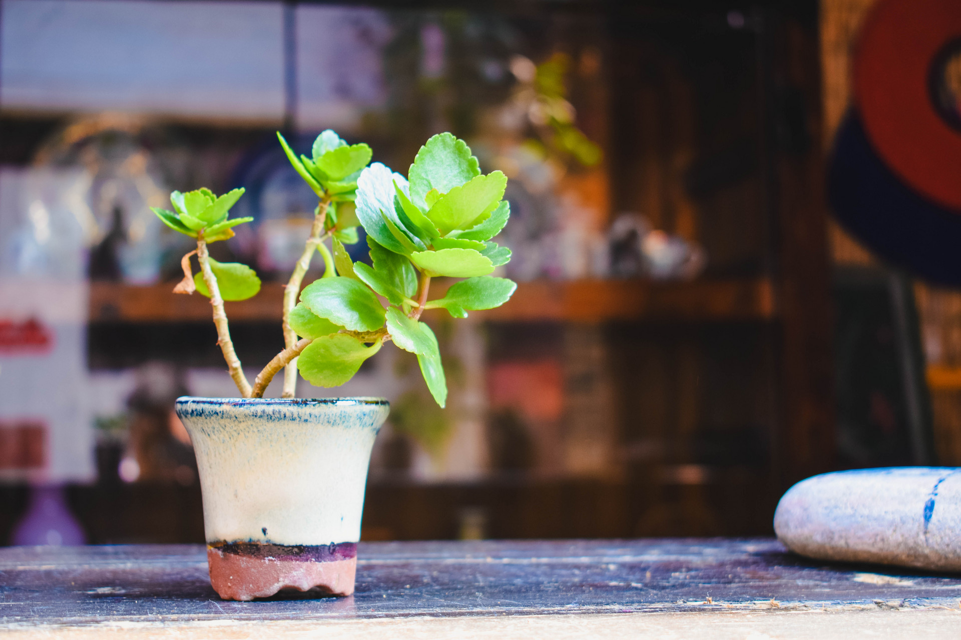 绿色生产管理评价咨询